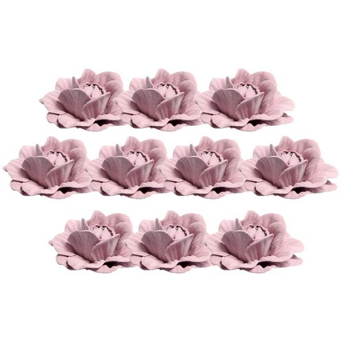 10pcs 5cm têtes de - 5cm, À