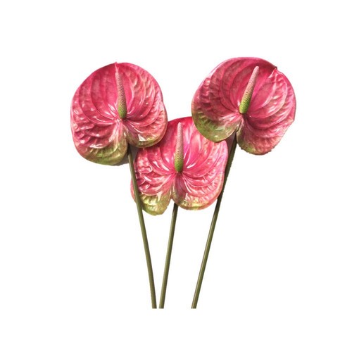 Pièces 22 8 pouces - 1x(3, 22,8