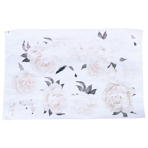 Blanc pivoine fleur rose - fleur,